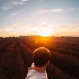 Freebie by Jocelyn Caron