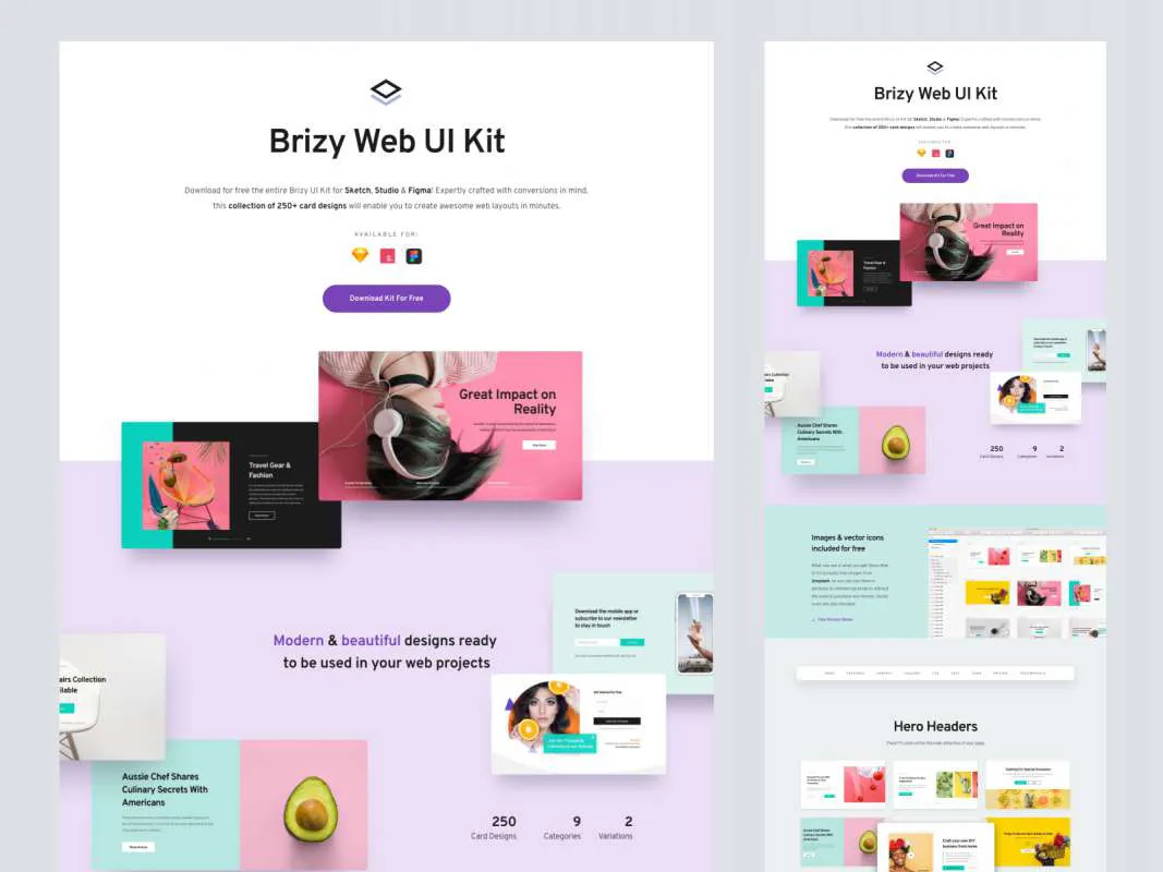 Brizy Web UI Kit for Figma and Adobe XD