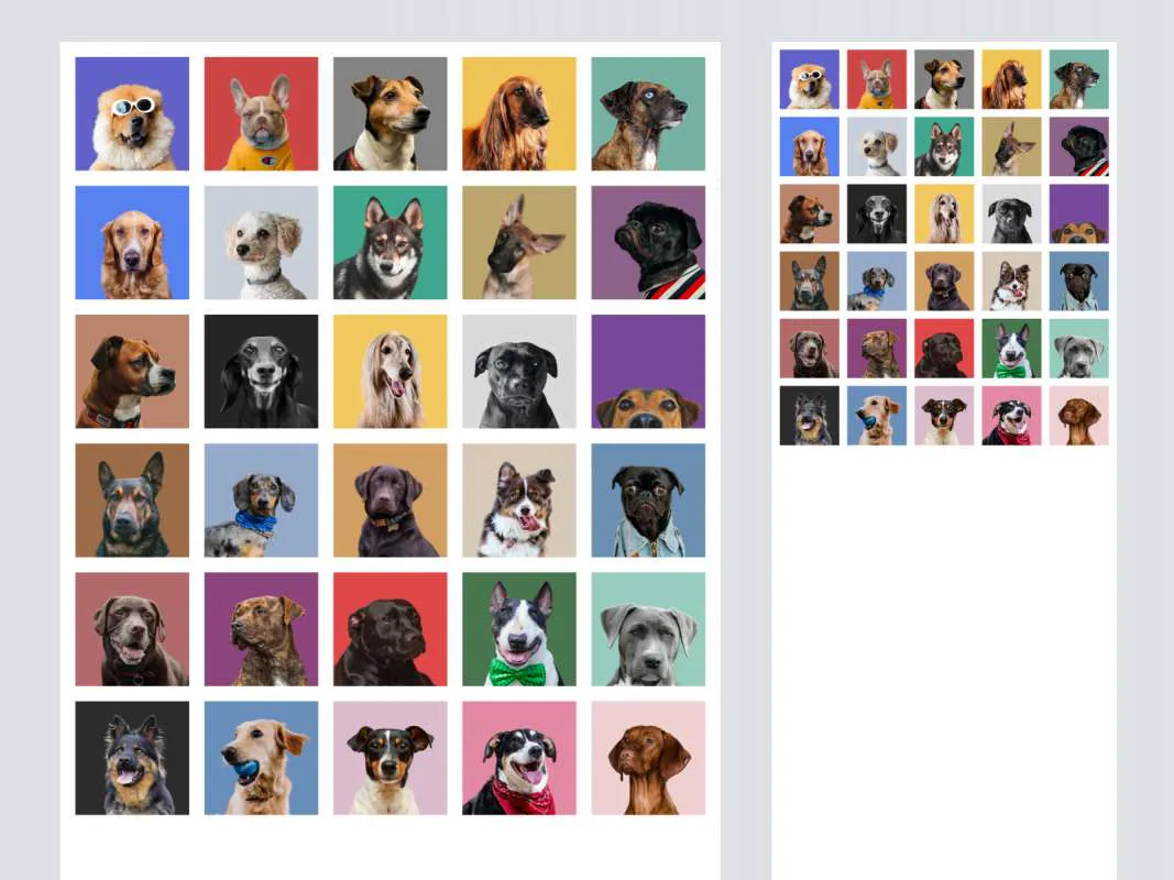 Free Avatars, lol for Figma and Adobe XD