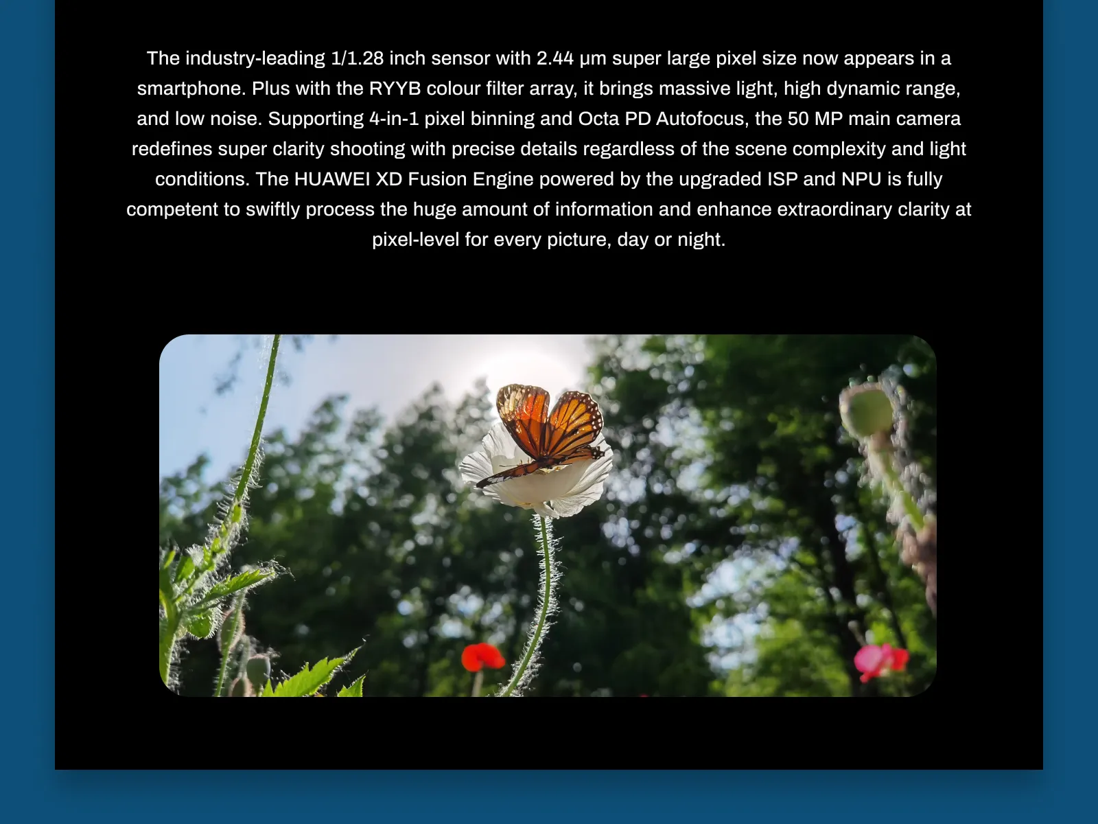 Huawei P40 Pro Plus Landing Page for Figma and Adobe XD No 4