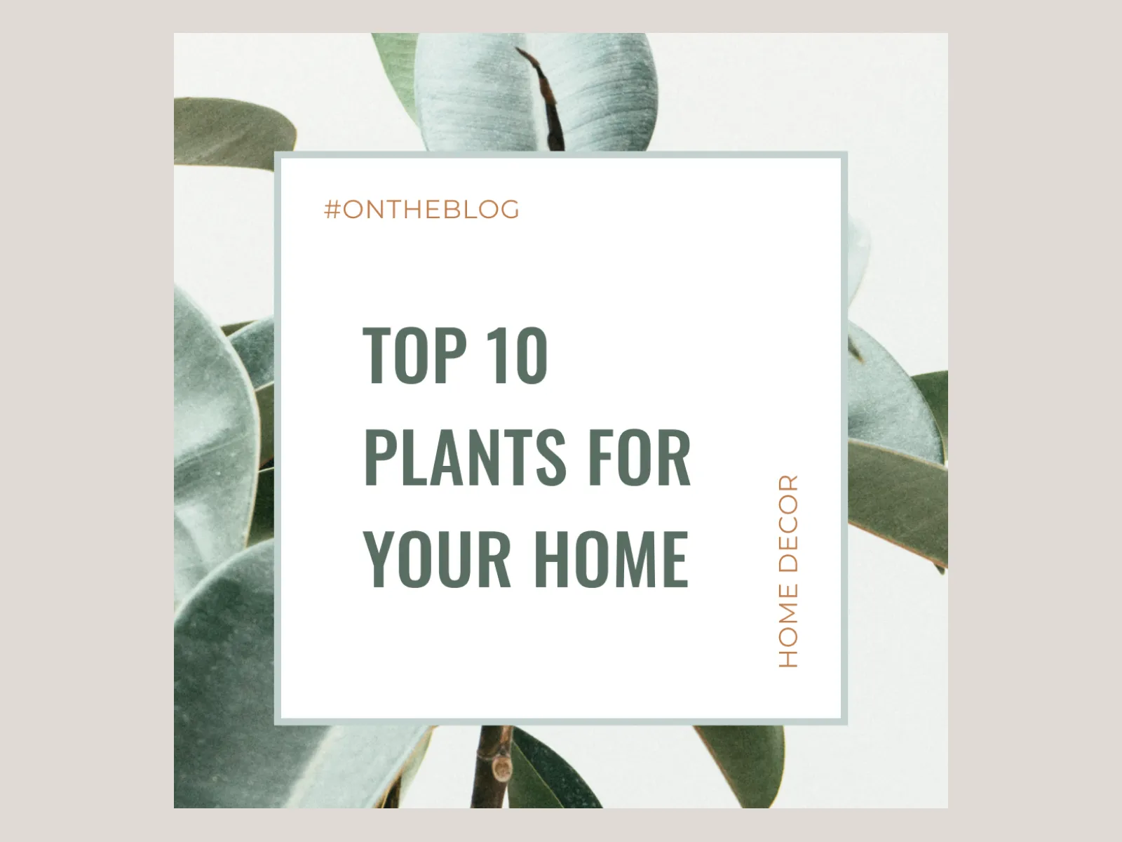 Instagram Cover Templates for Figma and Adobe XD No 4