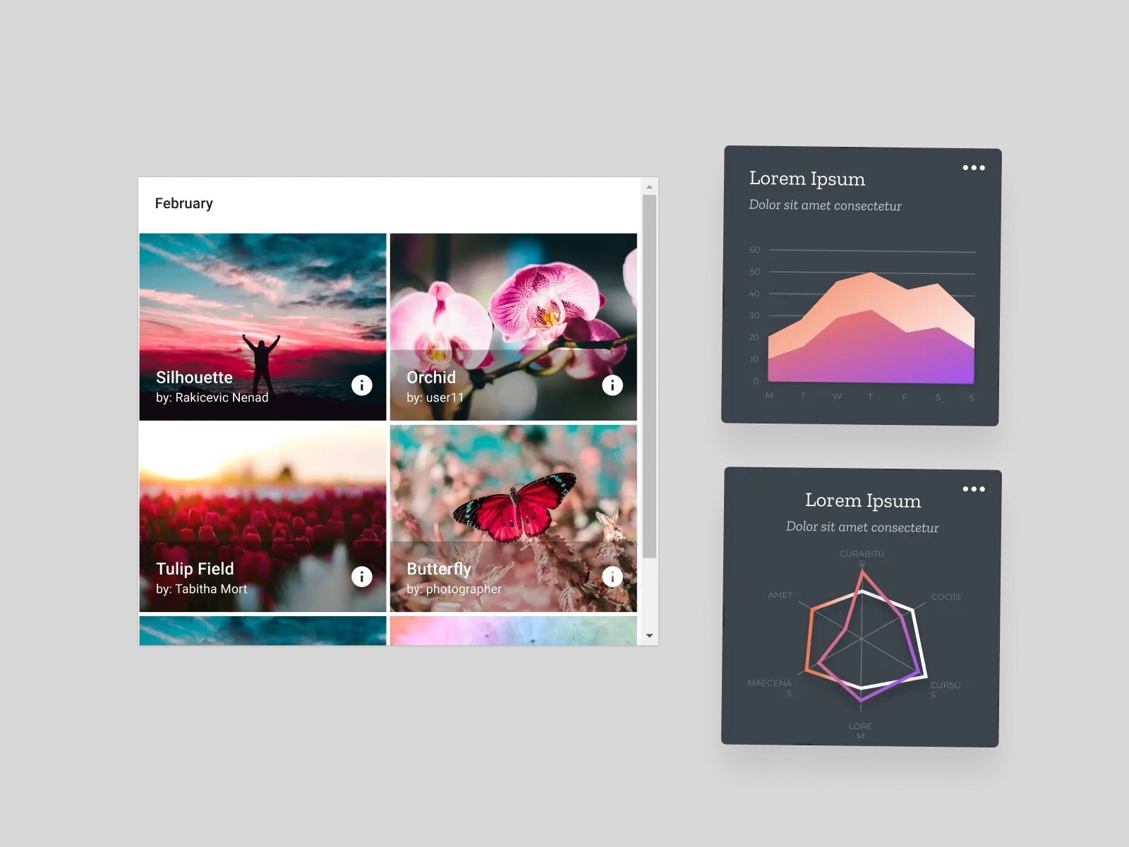 Material React Components UI Kit for Figma and Adobe XD No 2
