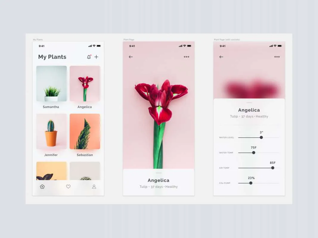 Plants App Concept for Figma and Adobe XD