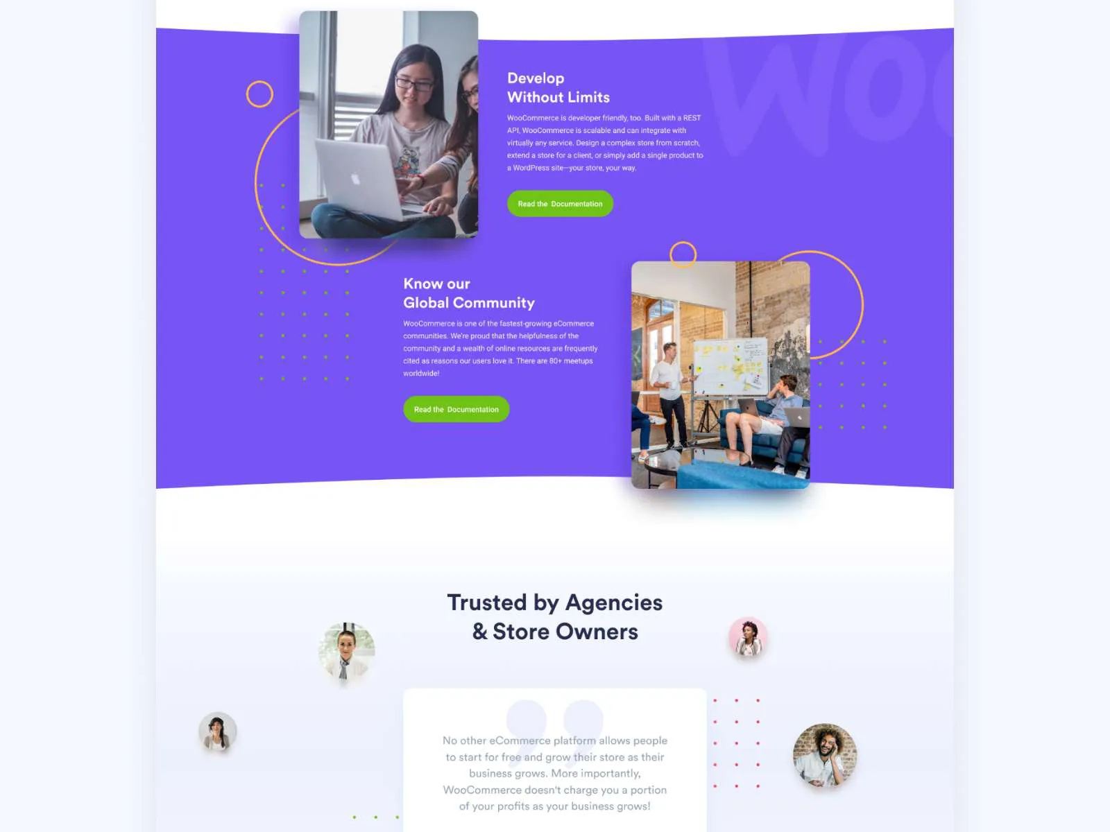 Woocommerce Redesign Landing for Figma and Adobe XD No 4
