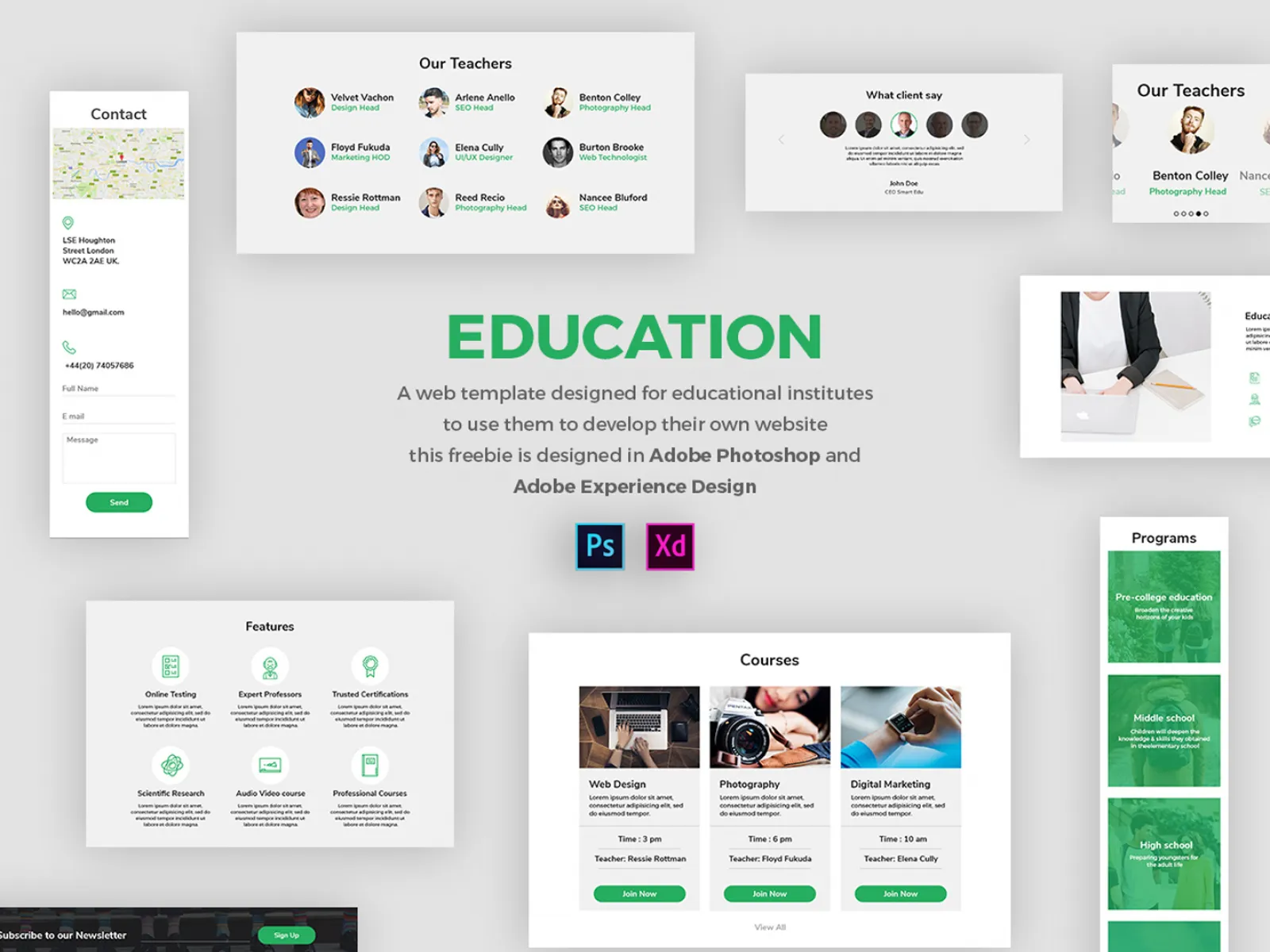 Education Web Template for Figma and Adobe XD