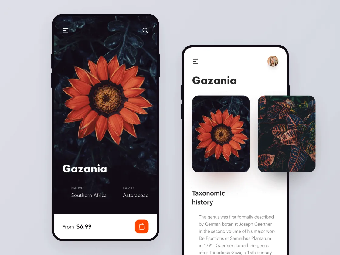 Flowers Shop Concept for Figma and Adobe XD