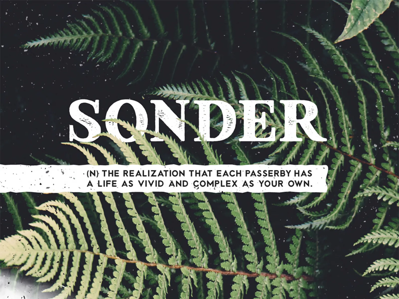 Sonder Free Type Family for Figma and Adobe XD