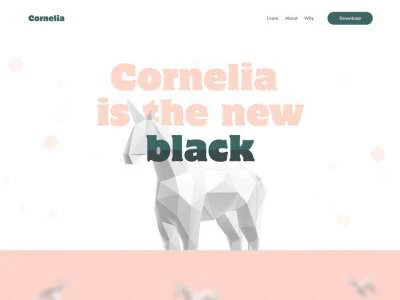 Clean Minimal Web Design  - Free template