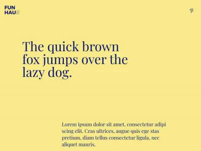 Duo Tone Web Design  - Free template