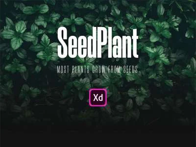 E-commerce App Design  - Free template